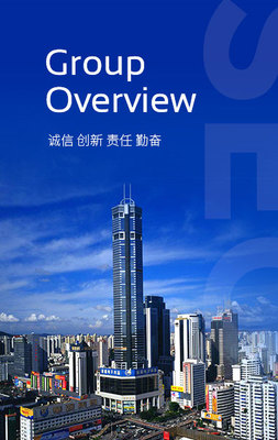 深圳投資管理集團 引領灣區發展的國有資本投資運營平臺